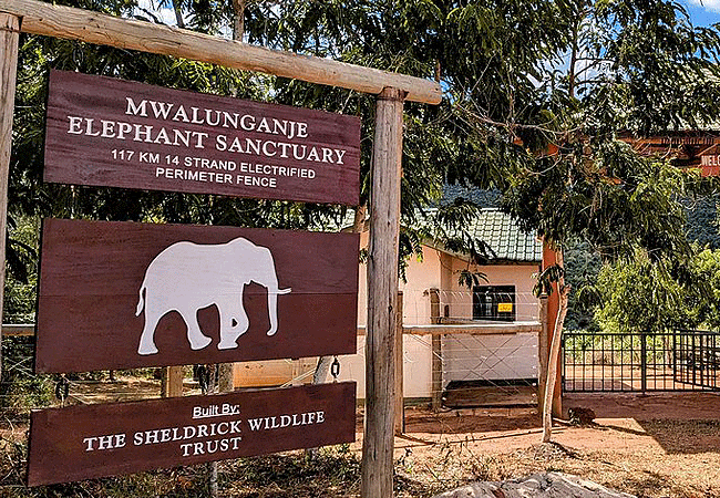 Mombasa Day Trips Mwaluganje Elephant Sanctuary Safari