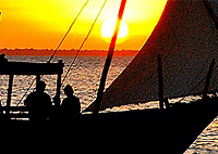 Wasini Island Mombasa Sunset Dhow Cruise & Seafood Dinner Tour – Kenya