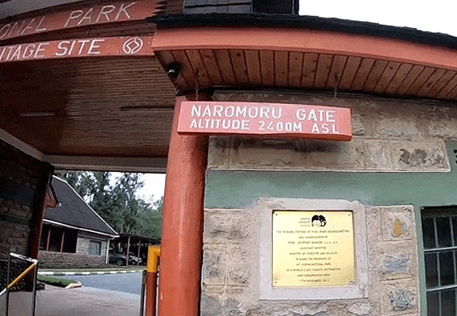 Mount Kenya Climb 1-Day Hike Naro Moru Route