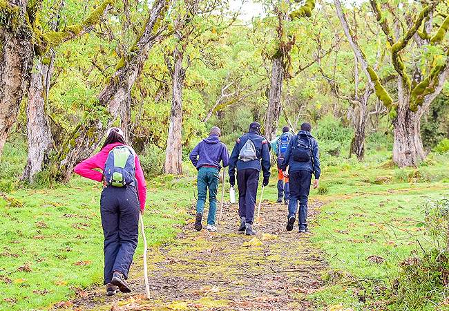 mount-kenya-climbing-2-days-1-night-trekking-trip Mount Kenya Climbing 2 Days 1 Night Trekking Trip