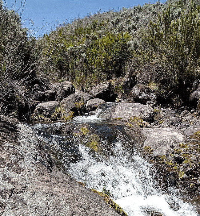 Mount Kenya Day Trip Hike Chogoria Route