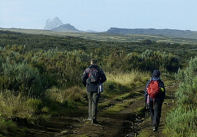 Mount Kenya Day Trip Hike Chogoria Route