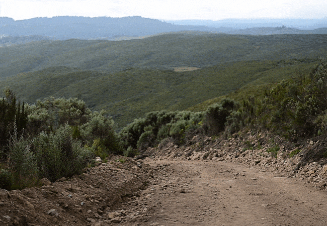 Mount Kenya Day Trip Hike Chogoria Route