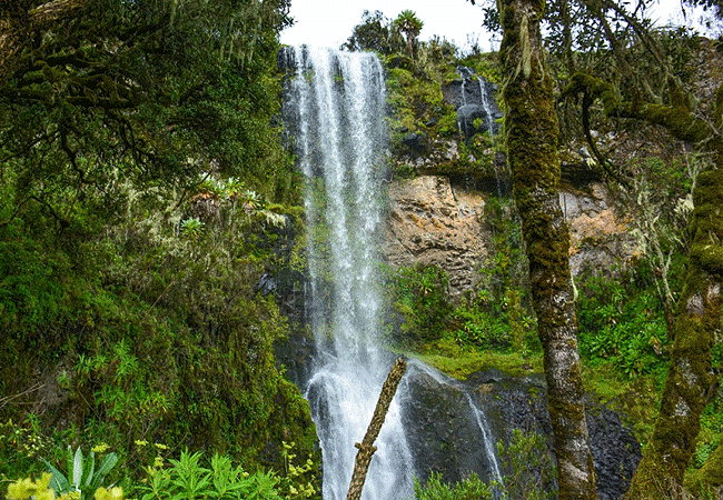 Mount Kenya Day Trip Hike Chogoria Route