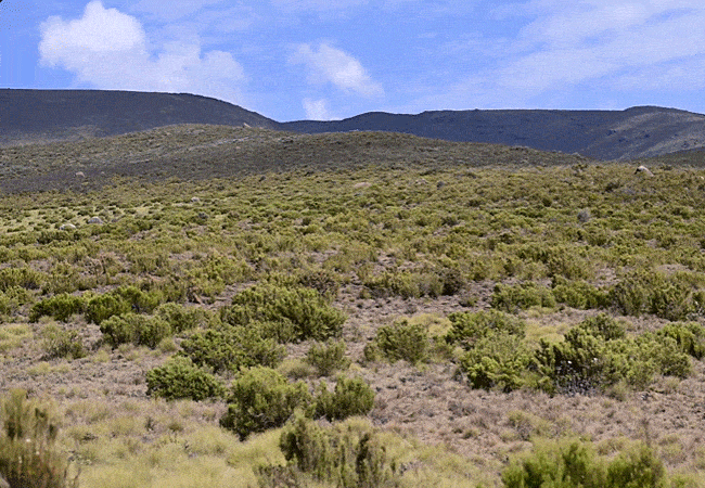 Mount Kenya Day Trip Hike Chogoria Route