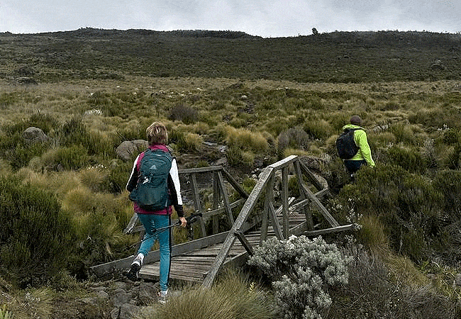 Mount Kenya Day Trip Hike Sirimon Route