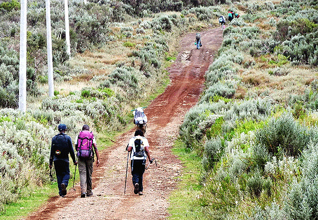 Mount Kenya Day Trip Hike Sirimon Route