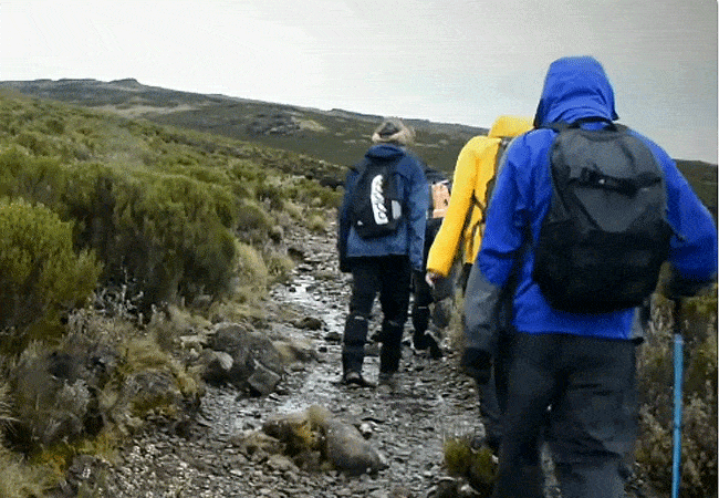 Mount Kenya Day Trip Hike Sirimon Route