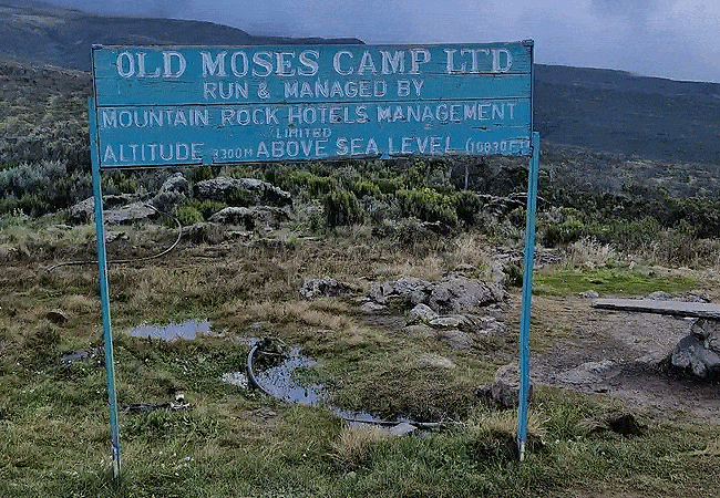 Mount Kenya Day Trip Hike Sirimon Route