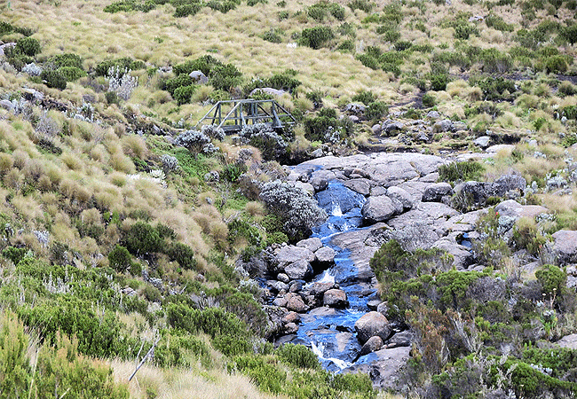 Mount Kenya Day Trip Hike Sirimon Route