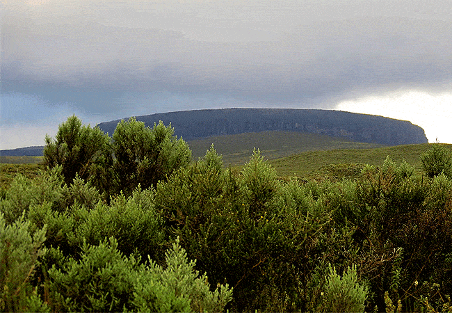 Mount Kenya Day Trip Hike Sirimon Route