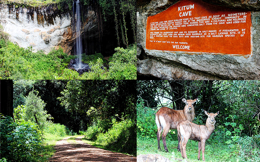 Kisumu Day Tours Mount Elgon National Park 1 Day Trip