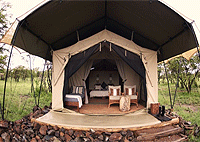 Naboisho Camp, Naboisho Conservancy – Masai Mara National Reserve