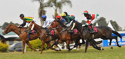Nairobi horse Racing Day Ngong Racecourse Tour