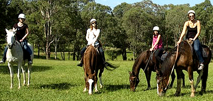 Horseback Riding Karen Nairobi Excursion Day Tour