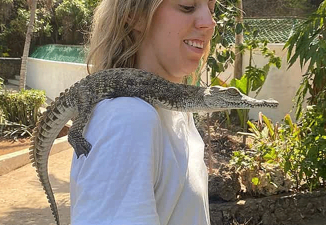 nairobi-mamba-village-crocodile-farm-tour-hatchling Nairobi Mamba Village Crocodile Farm Tour