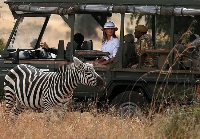 Nairobi National Park Day Tour Safari | 5-hour Game Drive | Morning 0600 Hours or Afternoon 1400 Hours