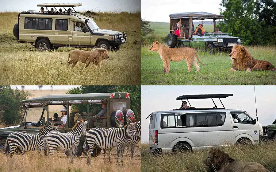 Nairobi National Park day tour