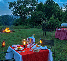 Nairobi National Park Game Drive & Bush Dinner Tour – Kenya
