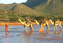 Nanyuki River Camel Camp