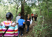 Ngong Forest Sanctuary Nairobi Walking Tour – Kenya