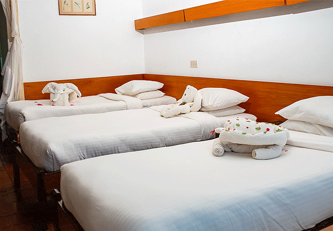 ngulia-safari-lodge-tsavo-west-national-park-triple-room Ngulia Safari Lodge Tsavo West National Park