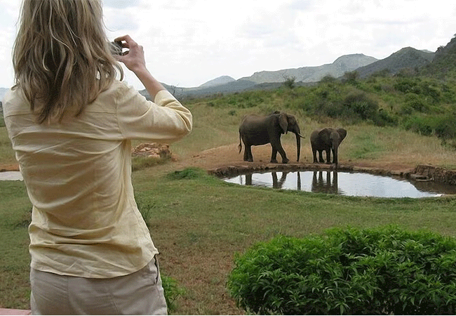 ngulia-safari-lodge-tsavo-west-national-park-water-hole-view Ngulia Safari Lodge Tsavo West National Park