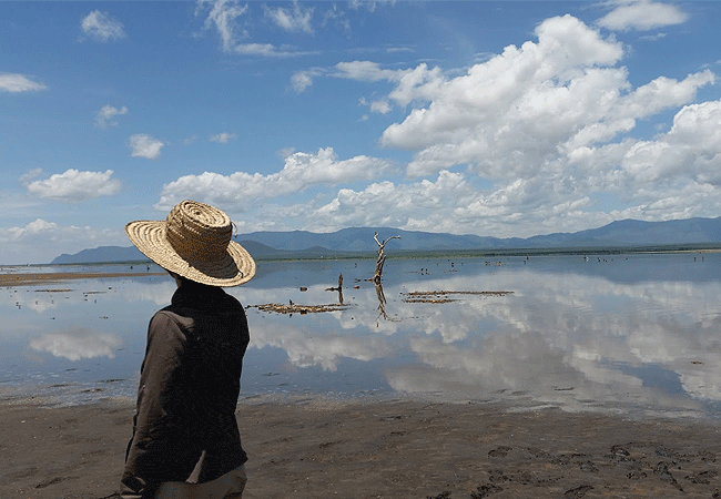 1 Day Nyumba ya Mungu ("House of God") Dam day excursion from Moshi