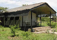 Nyumbu Camp Masai Mara Tented Lodge, Talek – Masai Mara National Reserve