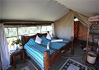 Offbeat Mara Camp, Mara North Conservancy – Masai Mara Game Reserve