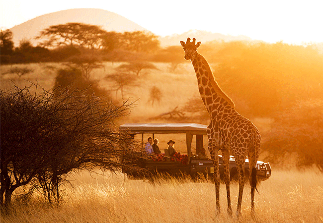 ol-donyo-lodge-chyulu-hills-morning-game-drive Ol Donyo Lodge Chyulu Hills Kenya Safari