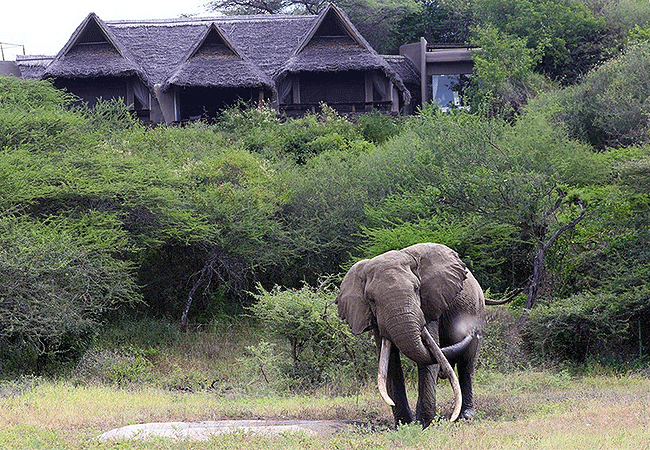 ol-donyo-lodge-chyulu-hills-waterhole Ol Donyo Lodge Chyulu Hills Kenya Safari