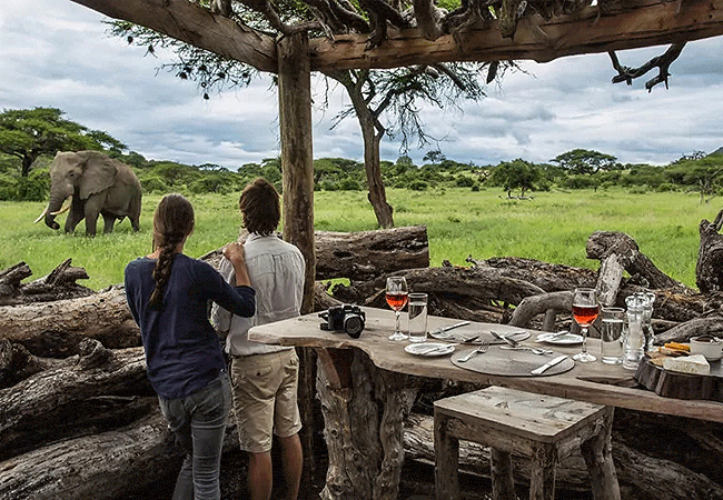ol-donyo-lodge-chyulu-hills-wildlife-viewing-from-the-lodge-hide Ol Donyo Lodge Chyulu Hills Kenya Safari