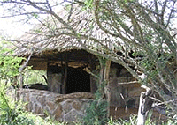 OL Gaboli Community Lodge – Laikipia, Northern Kenya