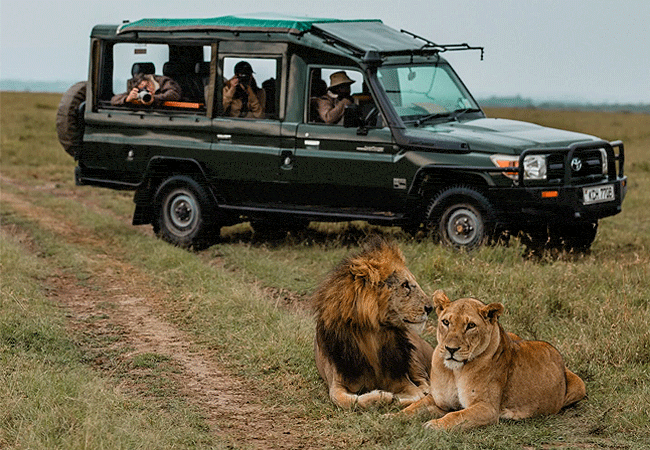Ol Pejeta Safari Cottages Game
