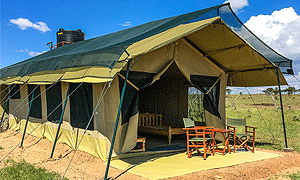 Oltepesi Tented Safari Camp, located in Oltepesi Village Masai Mara National Reserve