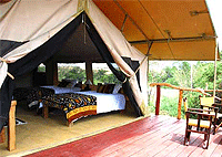 Olumara Tented Camp, Koiyaki Lemek Ranch – Masai Mara Game Reserve