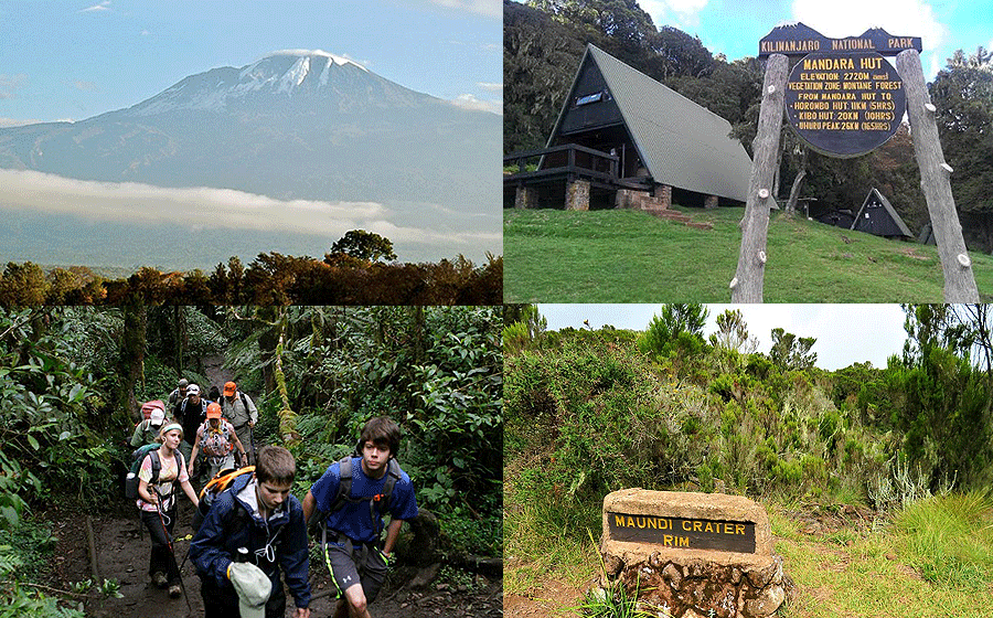 Mount Kilimanjaro 1 Day Hiking Trip