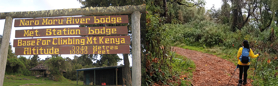 One Day Mount Kenya Hike