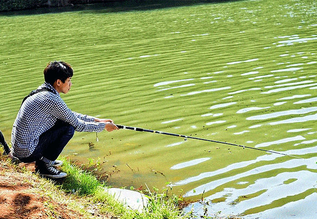 paradise-lost-resort-farm-kiambu-1-day-tour-fishing-for-black-bass-and-tilapia-fish Paradise Lost Resort Farm Kiambu 1 Day Tour