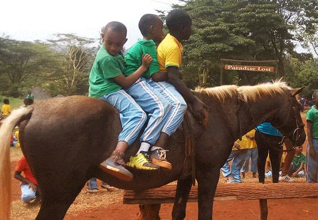 paradise-lost-resort-farm-kiambu-1-day-tour-horse-riding Paradise Lost Resort Farm Kiambu 1 Day Tour