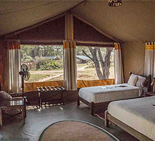 Porini Cheetah Camp, Ol Kinyei Conservancy – Masai Mara