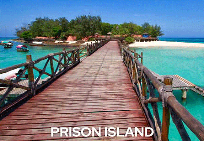 prison-island-also-known-as-changuu Island-is-a-popular-half-day-excursion-from-stone-town-zanzibar Prison Island Zanzibar Day Trip