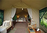 Rekero Camp Masai Mara, Talek River – Masai Mara Game Reserve