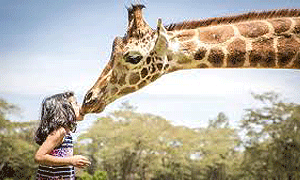 The Retreat at Giraffe Manor – (Located on the same forested sanctuary as Giraffe Manor Hotel), Nairobi