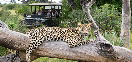 Ruma National Park 1 Day Safari Kisumu Tours
