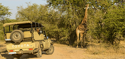 Ruma National Park 1 Day Safari Kisumu Tours