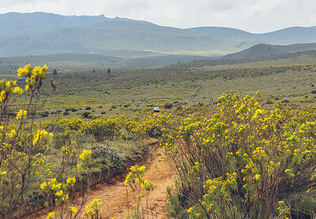Rutundu log cabins Mount Kenya