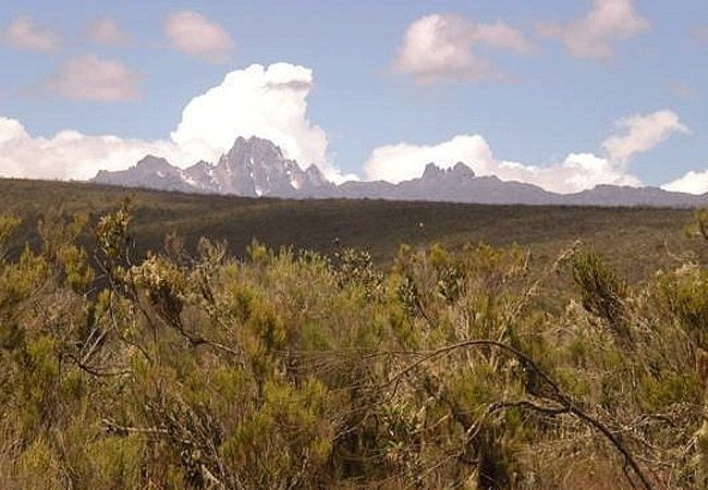 Rutundu log cabins Mount Kenya