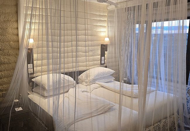 salt-lick-safari-lodge-all-bedrooms-have-mosquito-netting-and-a-ceiling-fan Salt Lick Safari Lodge